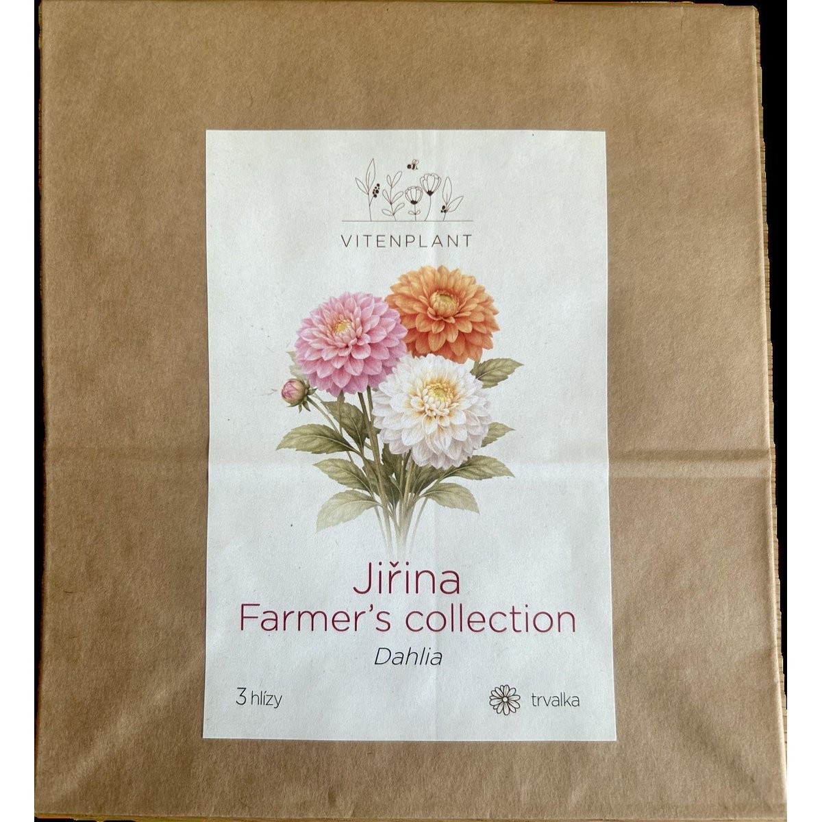 Vitenplant Jiřina mix barev, hlízy