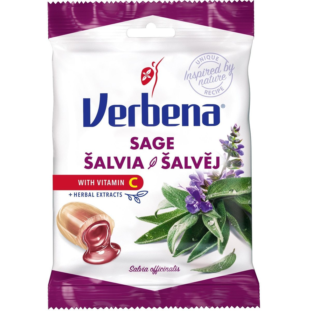 Verbena Šalvěj