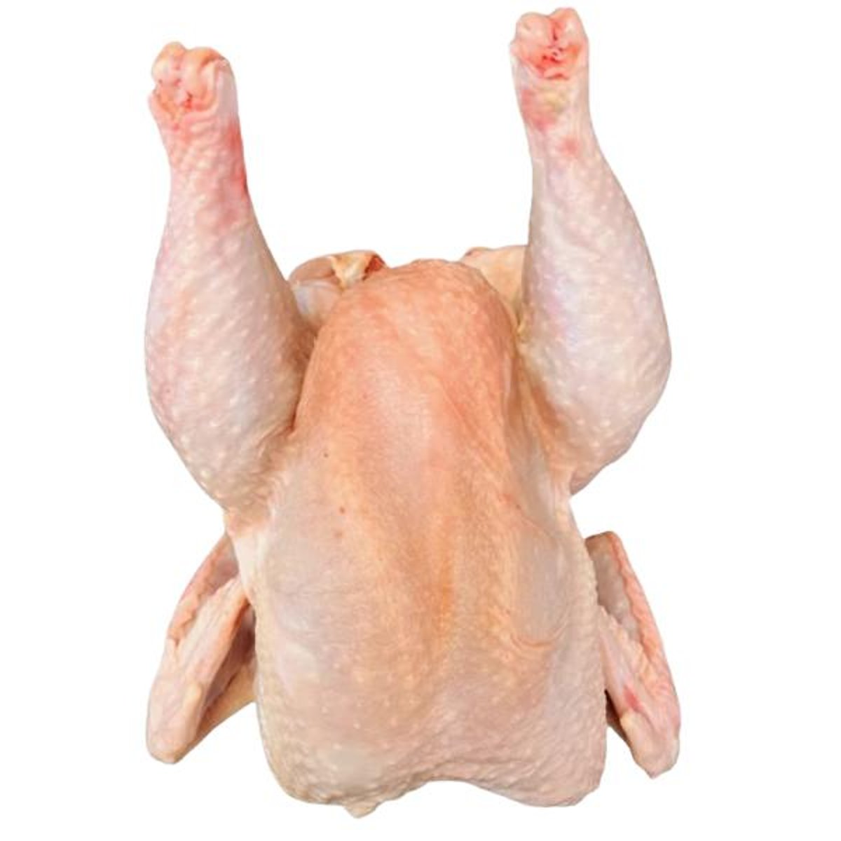 Chlazená slepice bez drobů