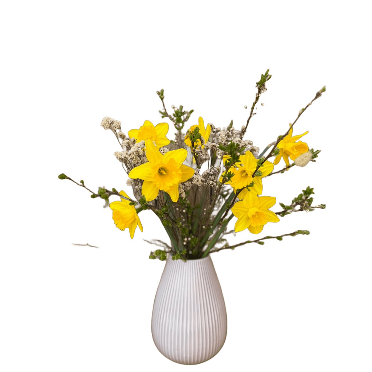 Kveetko Kytička jarní s narcisy