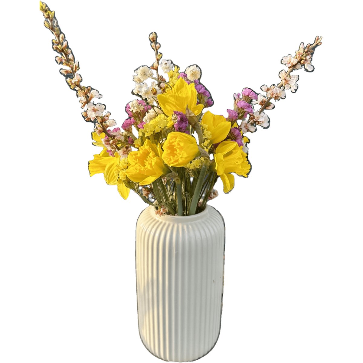 Vitenplant jarní kytice s narcisy Simply Flower