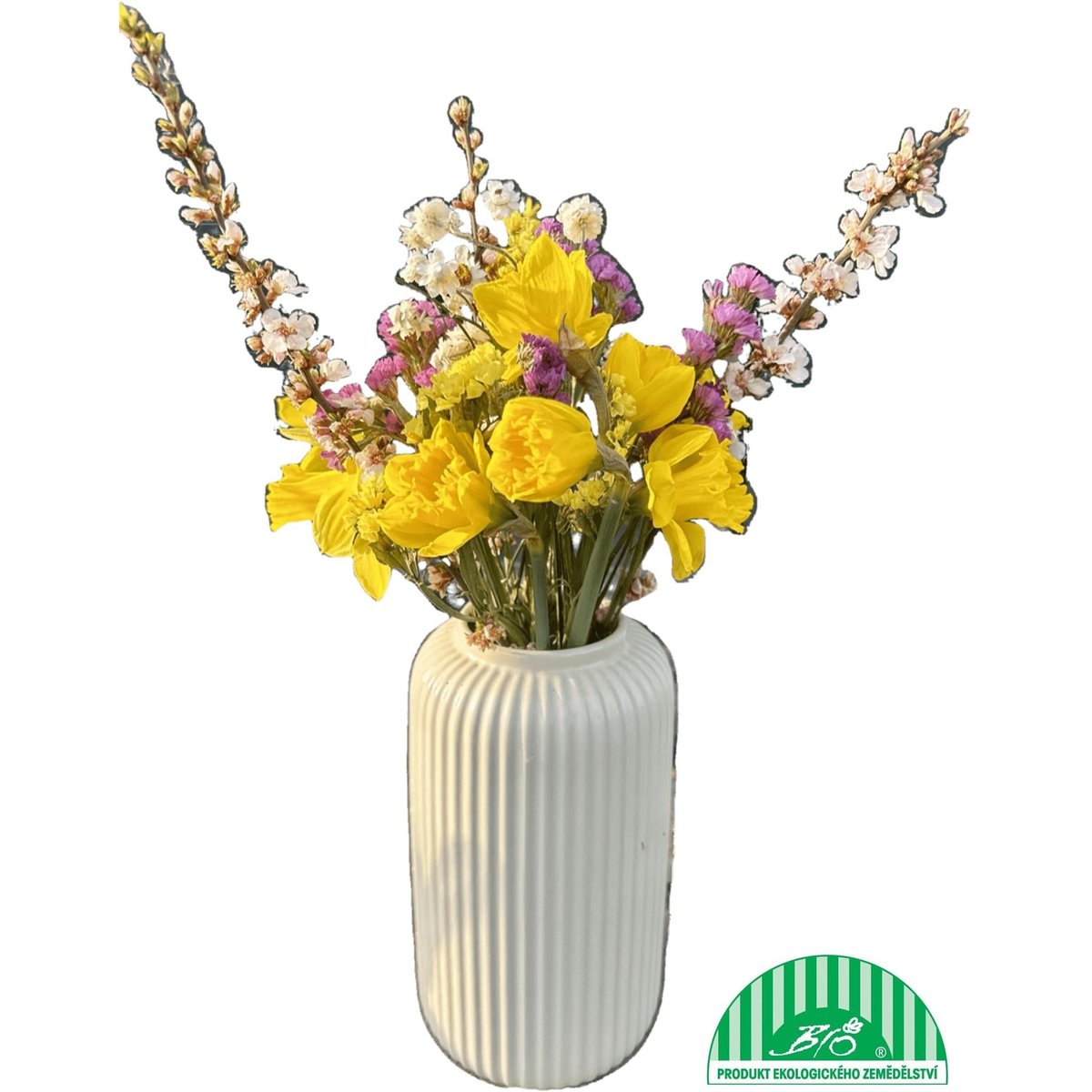 Vitenplant BIO jarní kytice s narcisy "Simply Flower"