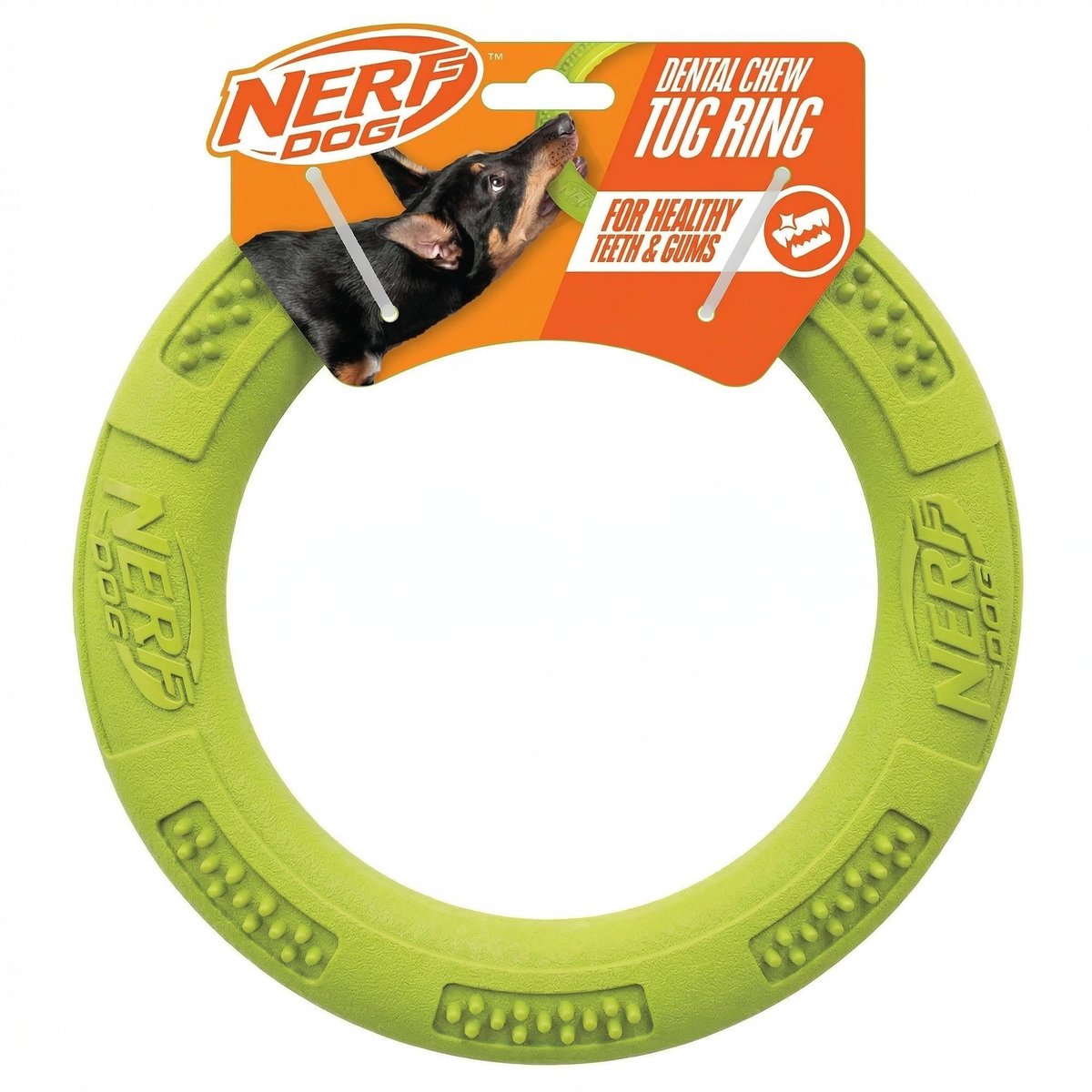 Levně Nerf Dog Dentální kruh hračka pro psy