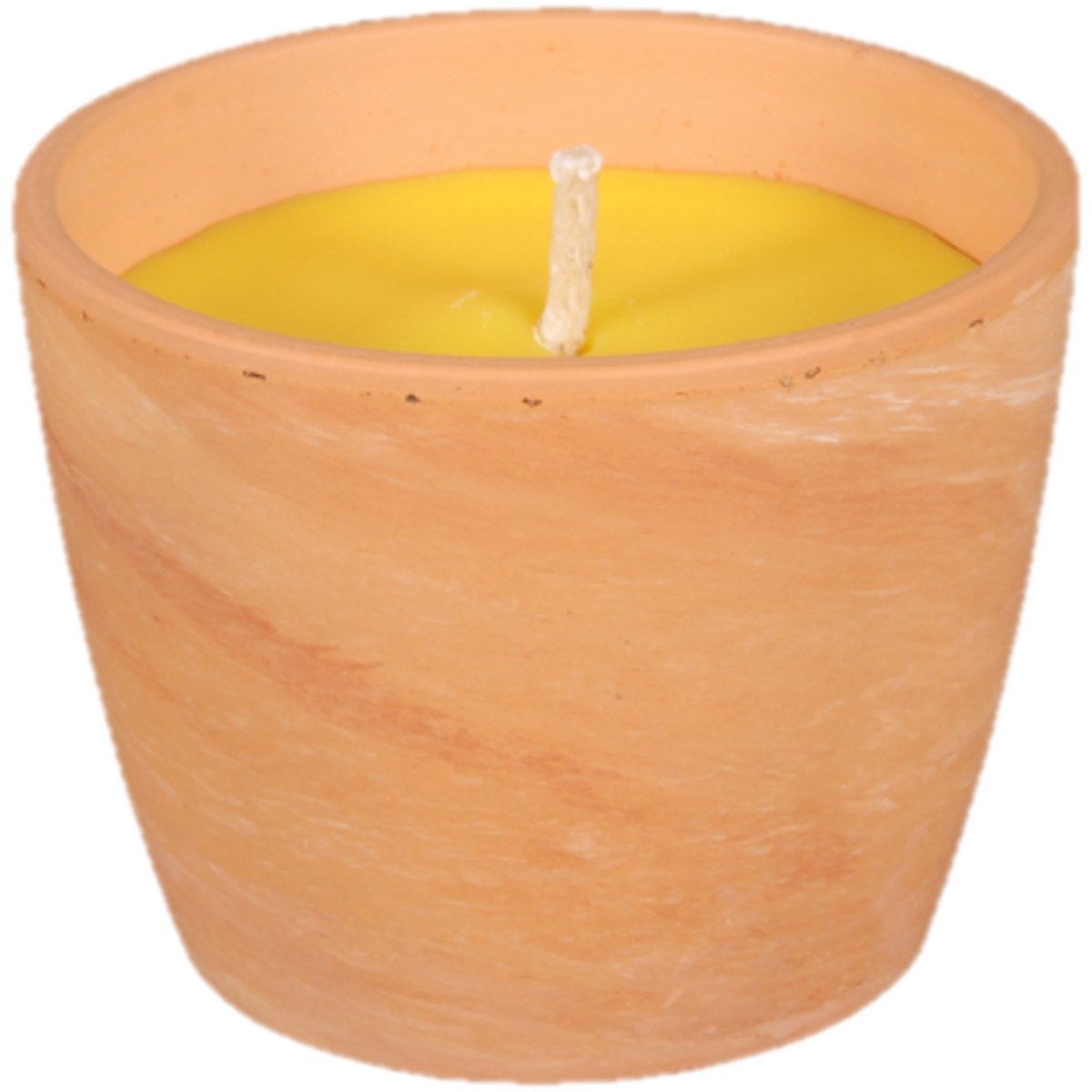 Levně Svíčka proti hmyzu CITRONELLA obal GUZMANIA 250g d10x8cm